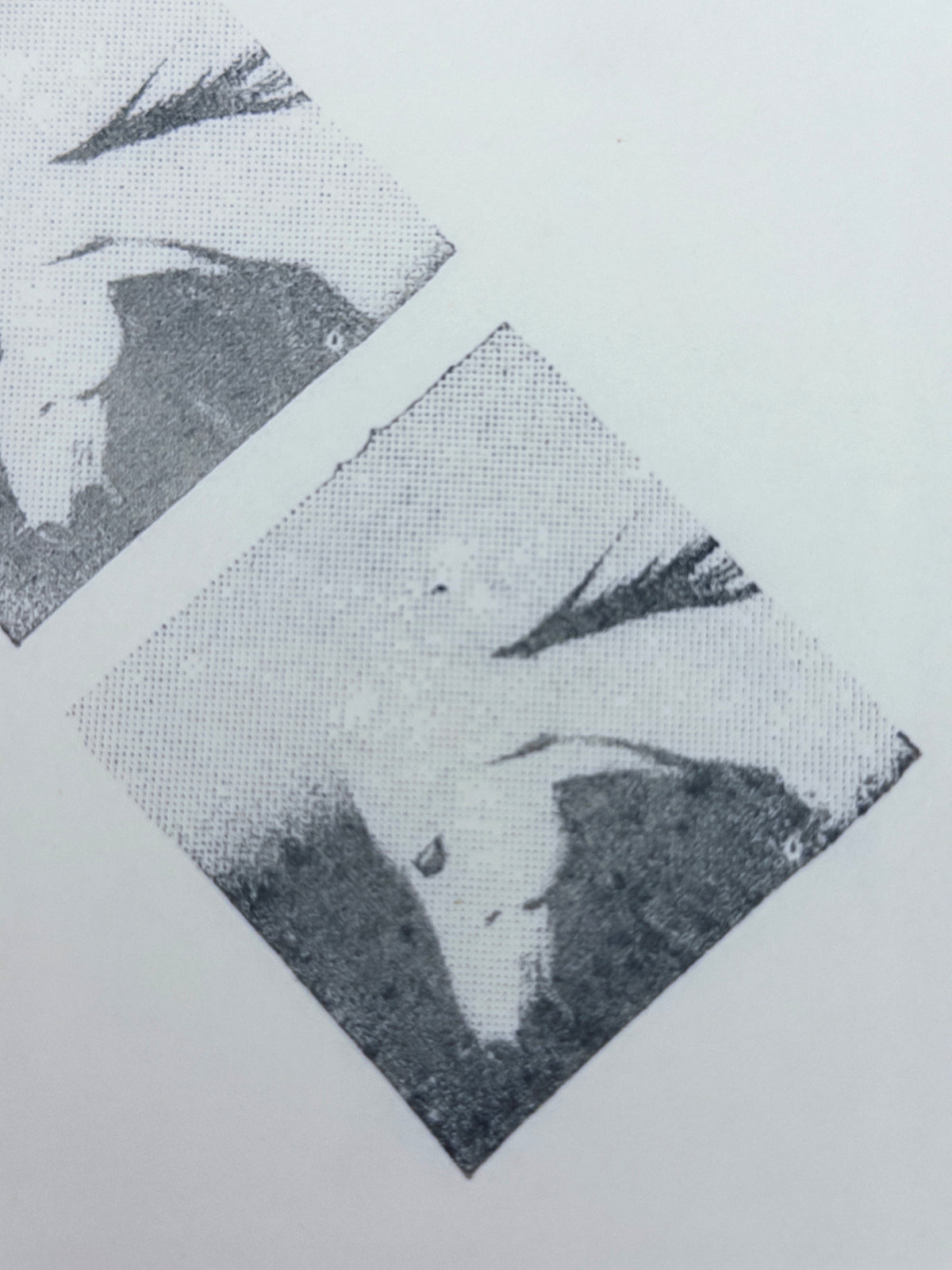 Halftone Horse Head Photo Stamp